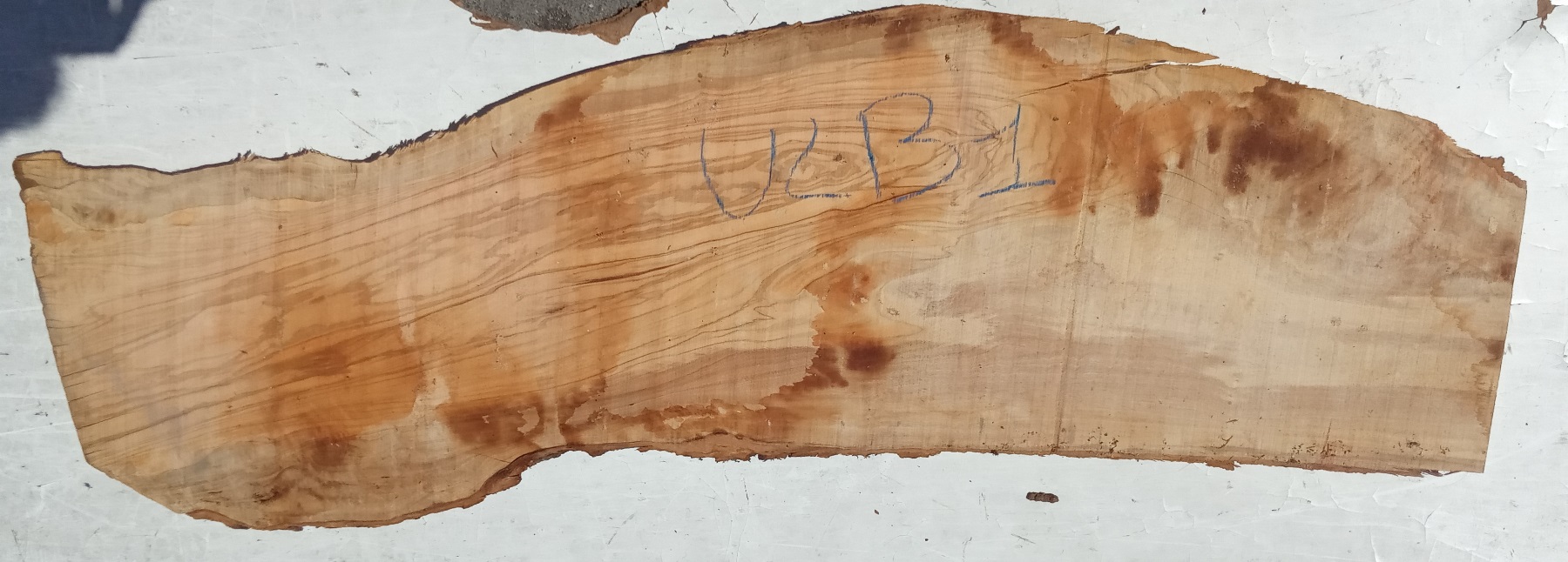 Tavole grezze in Ulivo spessore 35 - 40 mm: Tavola legno di Ulivo Non  Refilato Grezzo mm 35 x 350 x 1220