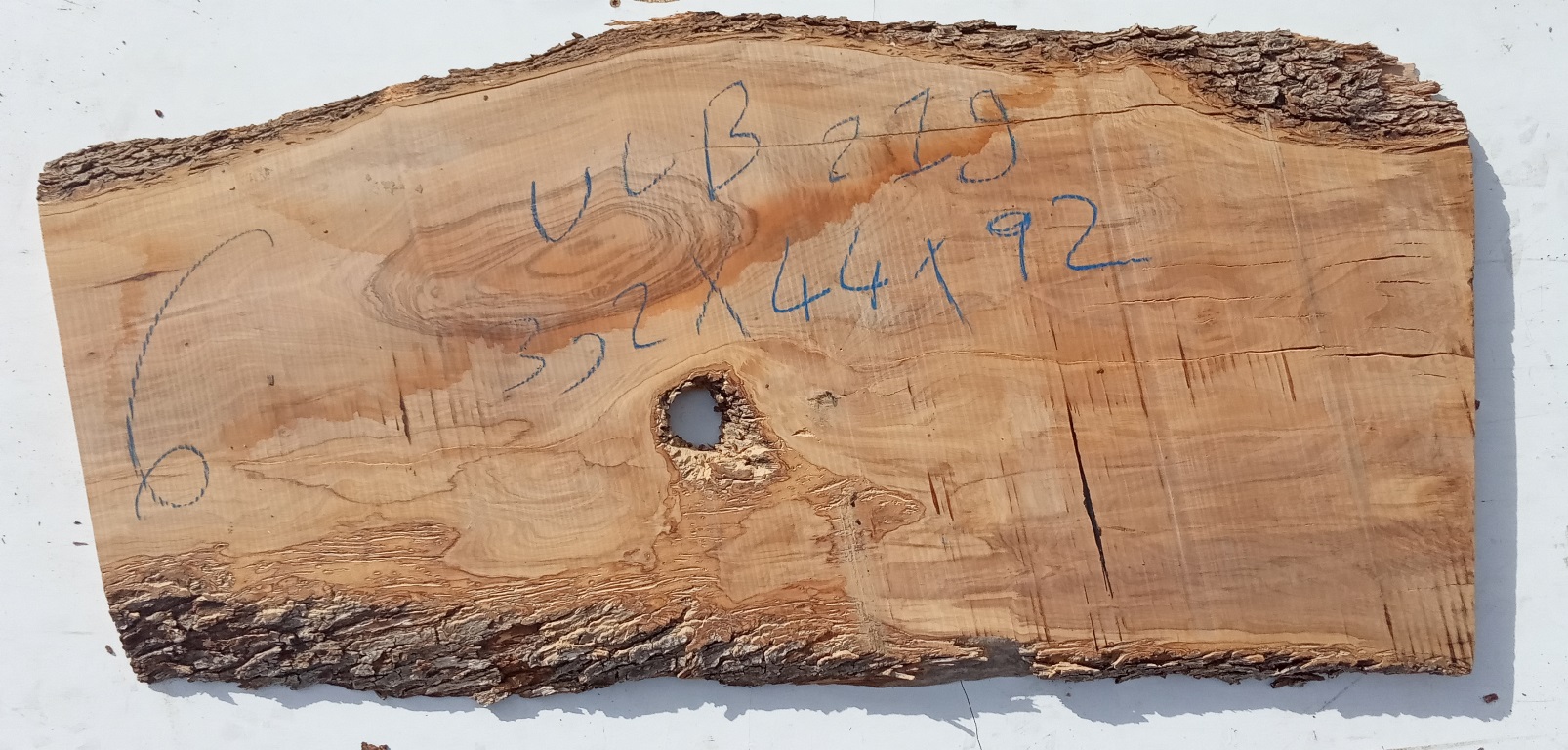 Tavole grezze in Ulivo spessore 35 - 40 mm: Tavola legno di Ulivo Non  Refilato Grezzo mm 32 x 440 x 920