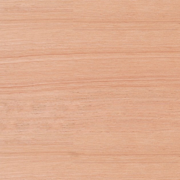 Tavole grezze in legno di EUCALIPTO AMERICANO (o Red Grandis)