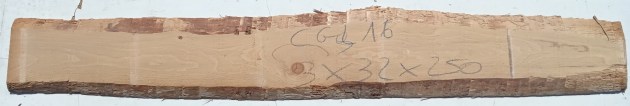 IMG_20240329_134534