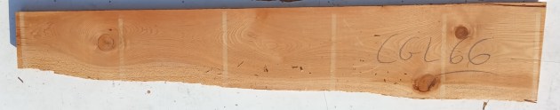IMG_20240720_074541