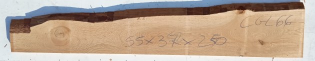 IMG_20240720_074553