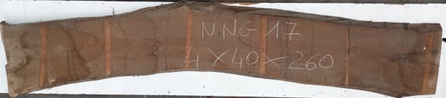 IMG_20250225_124718