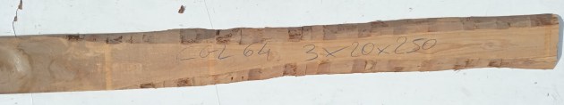 IMG_20250228_132559