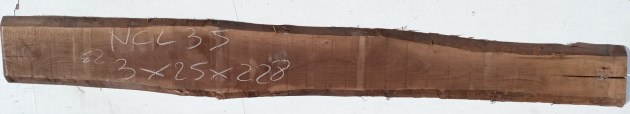 IMG_20250228_133105