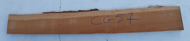IMG_20250628_085730