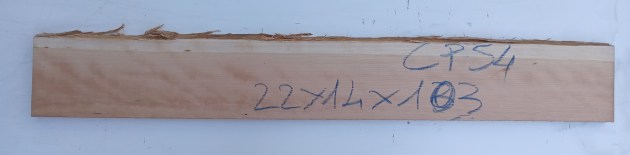 IMG_20250723_133103