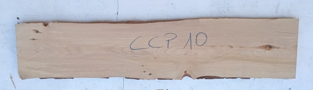 IMG_20250723_135332