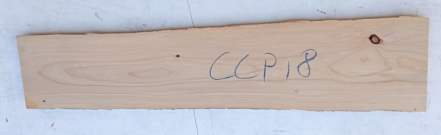 IMG_20250723_135539