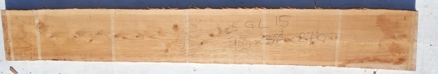 IMG_20251113_135317
