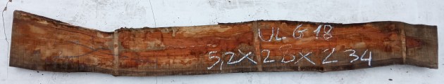 IMG_20251216_134515