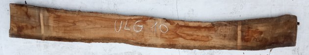 IMG_20251216_134753