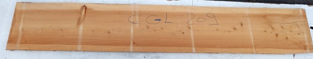 IMG_20251218_113109