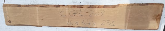 IMG_20251218_113244
