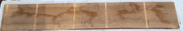 IMG_20251218_113403