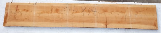 IMG_20251218_114118