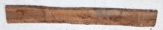IMG_20251218_114741