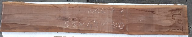 IMG_20251223_131733