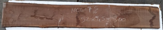 IMG_20251223_131758