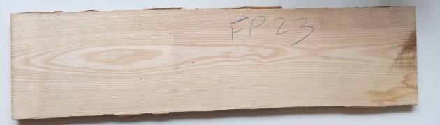 IMG_20260124_085616