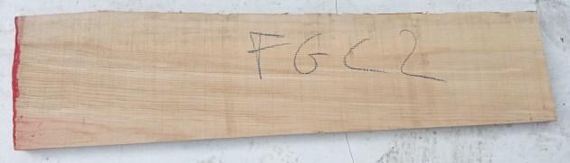 IMG_20260206_104112