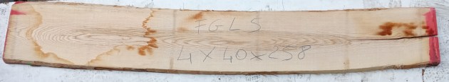 IMG_20260206_104807