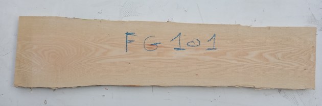 IMG_20260305_140156