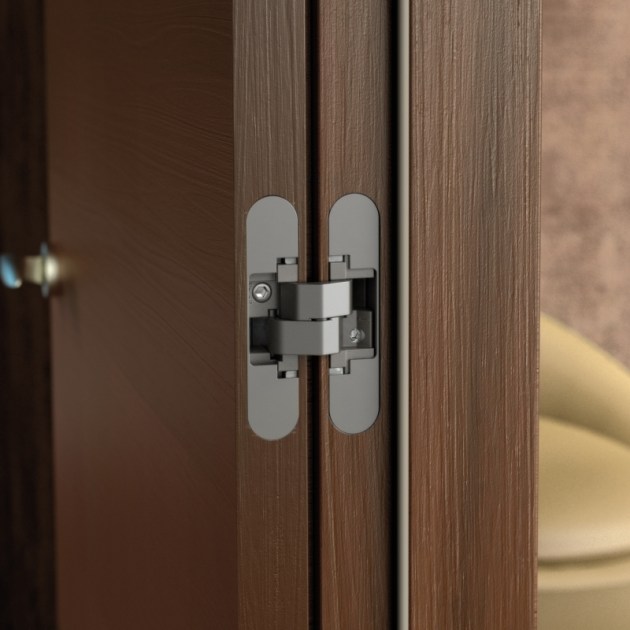 Emuca Cerniere a scomparsa per porte di passaggio, carico di 40 Kg, apertura 180º, zama, grigio metallizzato, 2 un.