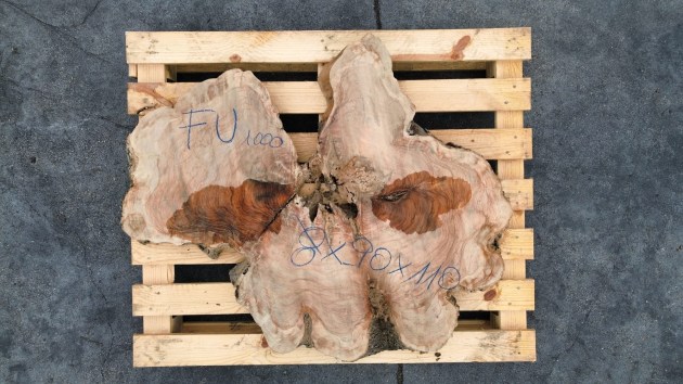 fetta-di-tronco-in-legno-di-ulivo-grezzo-brico-legno-store-fu1000