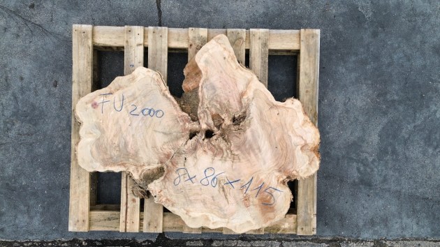 fetta-di-tronco-in-legno-di-ulivo-grezzo-brico-legno-store-fu2000