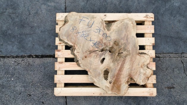 fetta-di-tronco-in-legno-di-ulivo-grezzo-brico-legno-store-fu3000