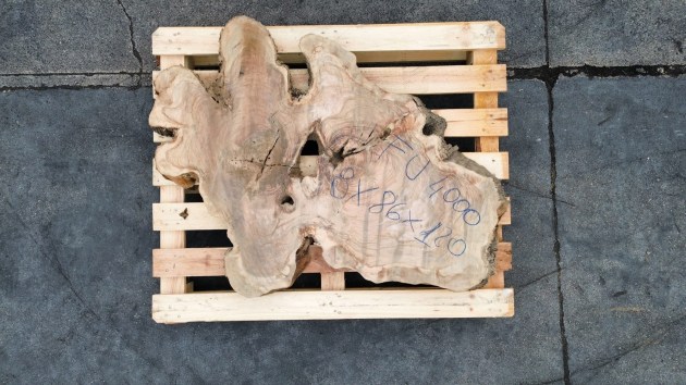 fetta-di-tronco-in-legno-di-ulivo-grezzo-brico-legno-store-fu4000