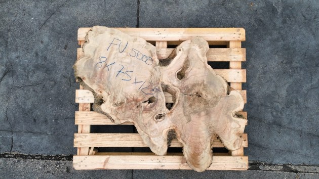 fetta-di-tronco-in-legno-di-ulivo-grezzo-brico-legno-store-fu5000
