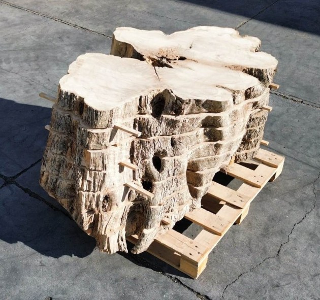 fetta-di-tronco-in-legno-di-ulivo-grezzo-brico-legno-store-sezionato-2